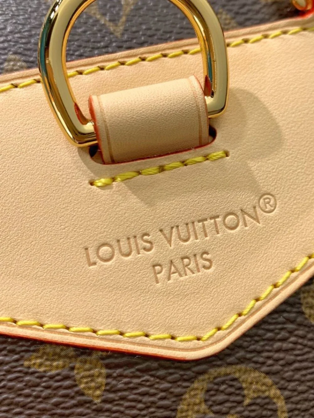Louis Vuitton Montsouris Medium Backpack Monogram